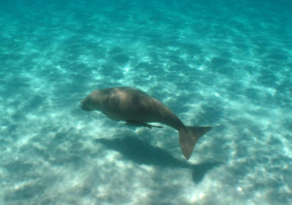 Ningaloo Lodge Exmouth Buitenkant foto
