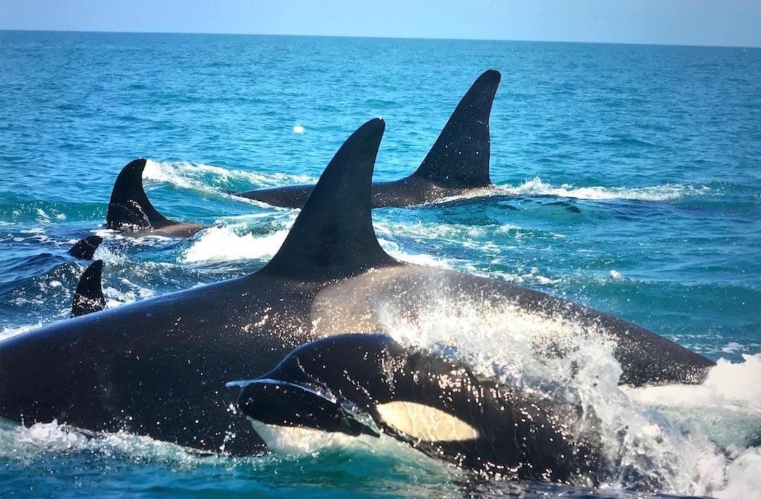 Ningaloo Lodge Exmouth Buitenkant foto