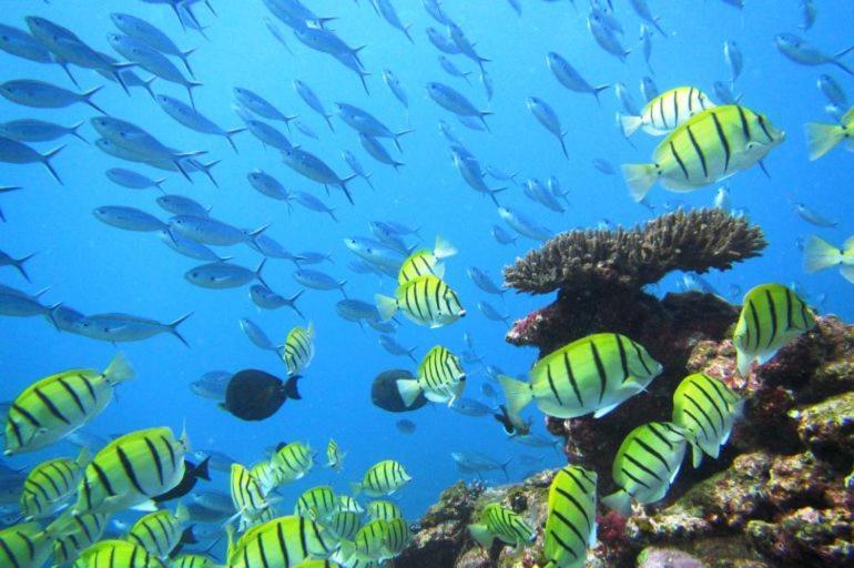 Ningaloo Lodge Exmouth Buitenkant foto