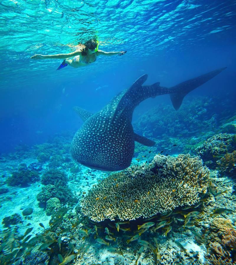 Ningaloo Lodge Exmouth Buitenkant foto